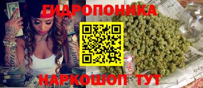 гашик Туймазы