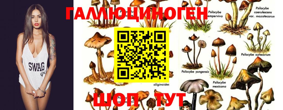 Галлюциногенные грибы мухоморы  Псилоцибиновые грибы мицелий  Надым  Вход с VPN 
